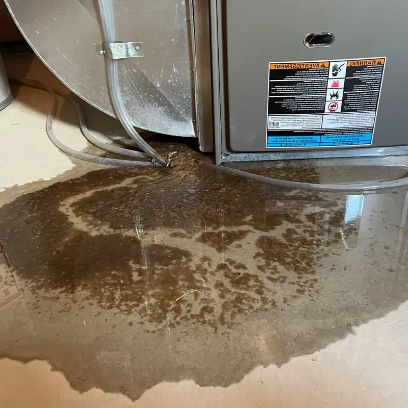 Pipe Burst and Leak Restoration in Tecumseh, OK
